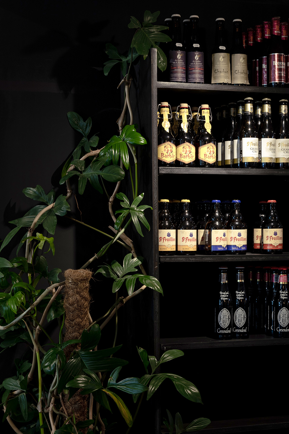 les-bieres-cave-bar-hossegor